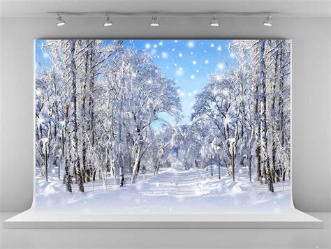 2019 Winter Photography Backdrops Frozen Snow Backgrounds For Photo