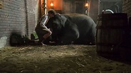 Review | Zoo (2017) | MovieSteve