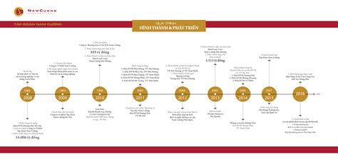 SƠ ĐỒ LỊch SỬ HÌnh ThÀnh And PhÁt TriỂn CỦa TẬp ĐoÀn Nam CƯỜng Tập Đoàn
