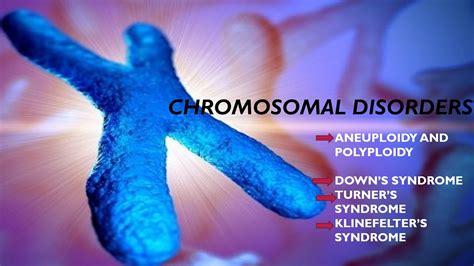 Chromosomal Disorders Genetics Neet Class 12 Youtube