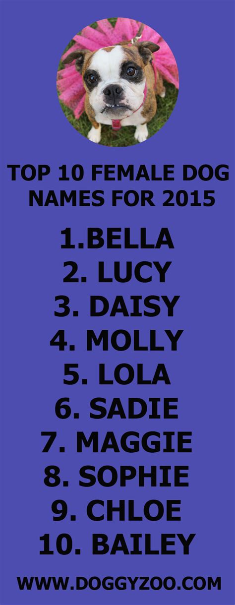 Top 10 Female Dog Names for 2015 - DoggyZoo.comDoggyZoo.com
