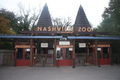 Nashville Zoo (TN): Top Tips Before You Go - TripAdvisor