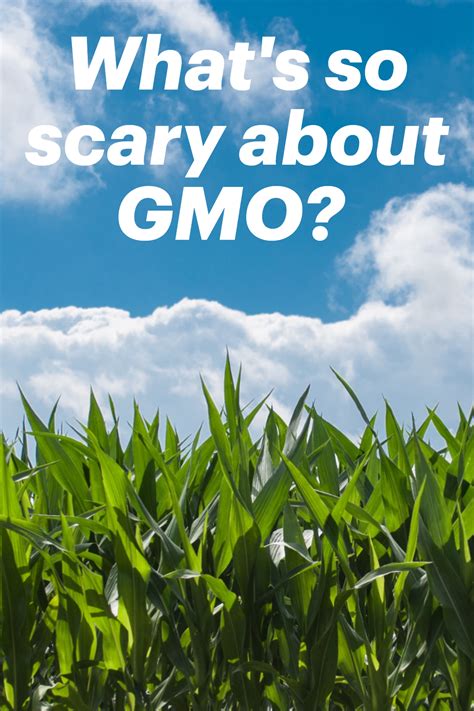 What's so scary about GMO? | Gmo, Scary, Scary images