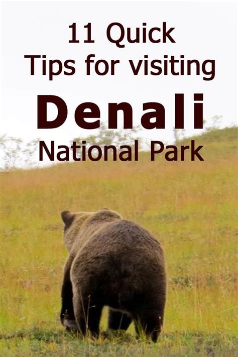 Elias national follow this itinerary to experience all three of alaska's national parks that are accessible by road all in one week! Denali National Park | Alaska national parks, National ...