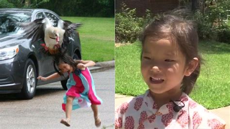 goose attack on 5 year old girl goes viral cnn vlr eng br