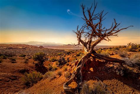 Award Wining Fine Art Landscape Photography By Dave Koch