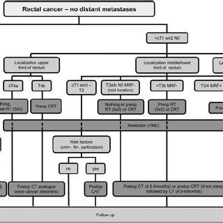 Death comes from exhaustion or complications: Treatment algorithm for synchronous metastatic colon ...