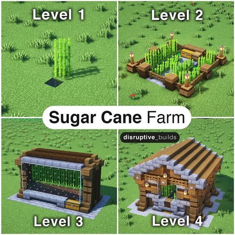 4 Levels Of A Sugar Cane Farm Level 4 Tutorial Video In Comments