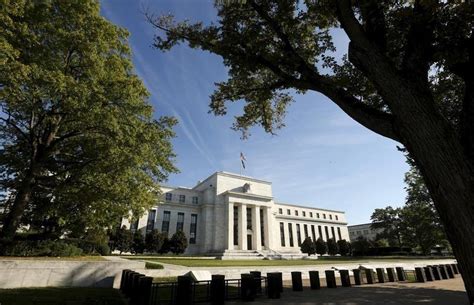 Traders see stronger chance of Fed rate hike in 2016 | Reuters