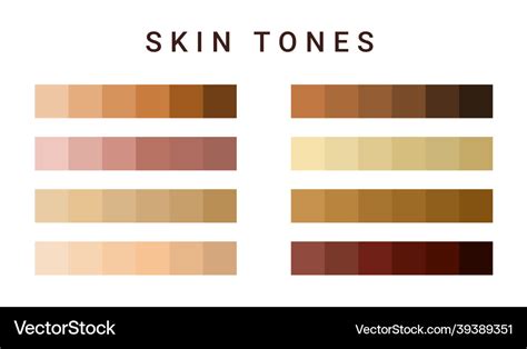 Skin Tone Color Scale Chart Brown Palette Vector Image