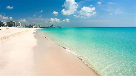 The Best Beaches In Miami Your Ultimate Guide