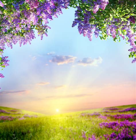Free Images Sunset People In Nature Sky Lavender Purple Violet