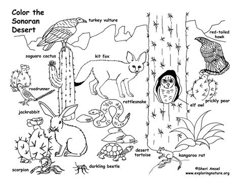 Habitats of the World Activity