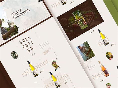 Wines Wine Collection Wines Interactive Design
