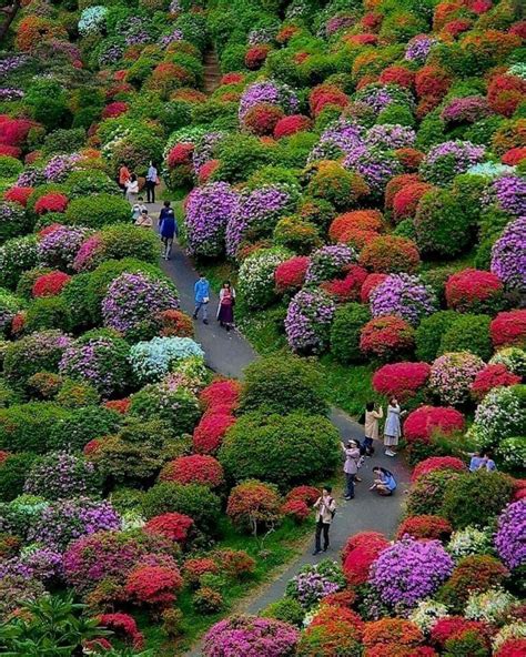 Pin By Marsha Humphreys Badgett On Scenic Japan In 2019 Colorful