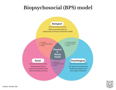 Psychological Approaches To Health Practice Psychological Approaches