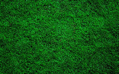 Download Wallpapers 4k Green Grass Texture Close Up Green Grass