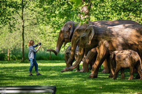 Esculturas De Elefante Em Tamanho Real Invadem Londres Dasartes