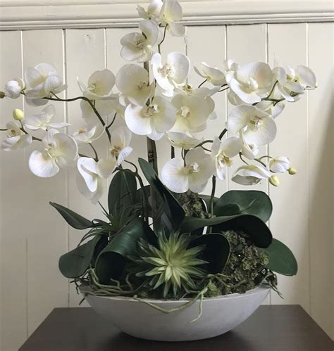 Cream Phalaenopsis Orchid Arrangement Concrete Bowl Etsy Orchid