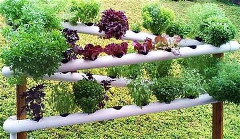 I was inspired by this instructab. 48 DIY Projects out of PVC Pipe You Should Make - DIY & Crafts