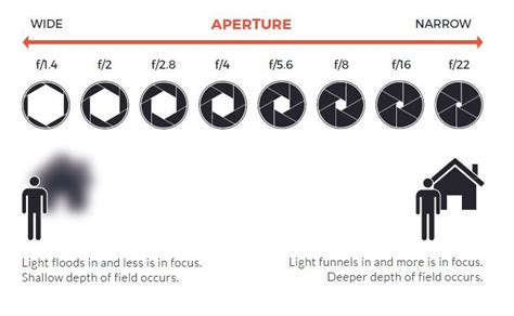 Understand What Aperture Or F Stop Is And How It Effects Exposure