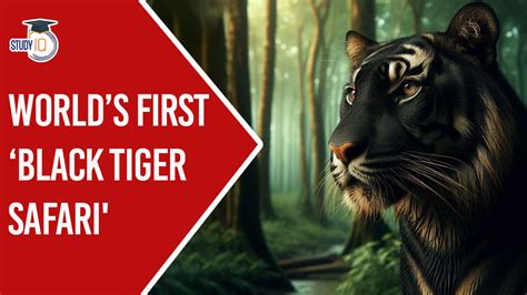 Worlds First Black Tiger Safari To Be Established Near Baripada In