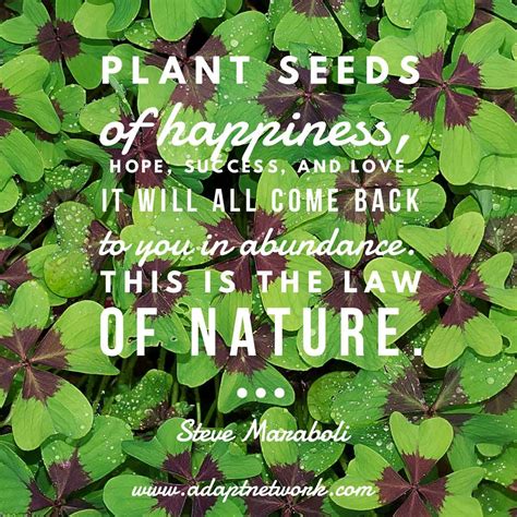 plant seeds of happiness hope success and love it will all come back to you in abundance