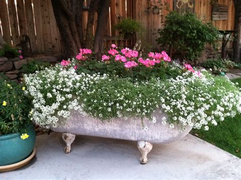 Cast iron bathtubs are generally worth up to $50 at scrap yards. Old cast iron bathtub full of flowers | Cast iron bathtub ...
