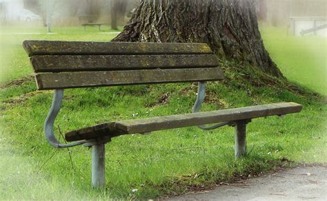 Park, Bank, Seat, Park Bench, Rest, Recovery #park, #bank, #seat, # 