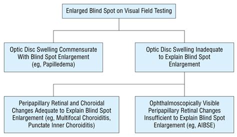 Acute Idiopathic Blind Spot Enlargement Syndrome