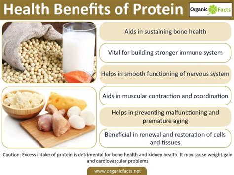 12 Surprising Benefits Of Proteins Organic Facts