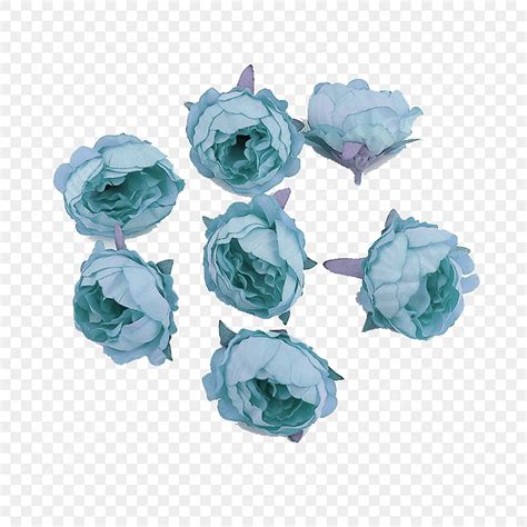 Gambar Bunga Biru Biru Bunga Bunga Bunga Png Transparan Clipart Dan