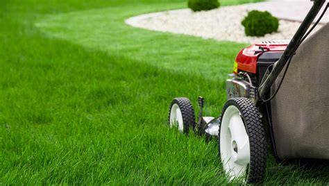 Cost Of Lawn Mowing And Maintenance In 2020 Inch Calculator