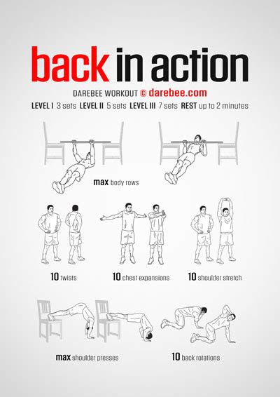 Back And Bicep Workout At Home No Equipment Eoua Blog