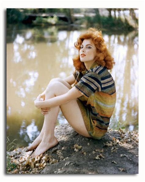 Ss3368066 Movie Picture Of Tina Louise Buy Celebrity Photos And