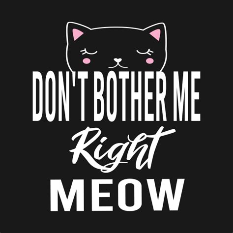 Dont Bother Me Right Meow Dont Bother Me Right Meow T Shirt