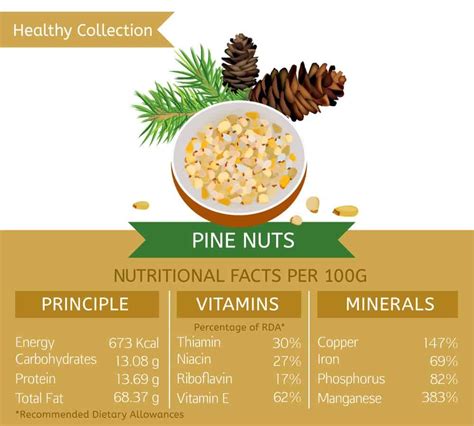 35 Different Types Of Nuts And Seeds Nutrition Facts Nutrition Nuts