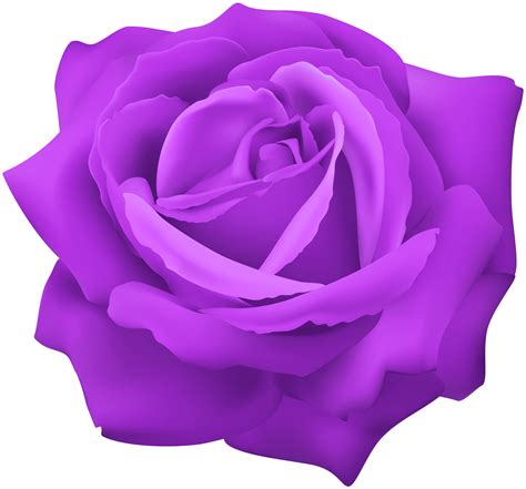 Clip Art Purple Roses 20 Free Cliparts Download Images On Clipground 2021