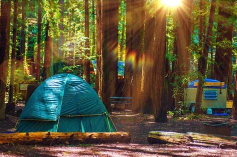 The Ultimate Guide To Camping In Redwood National Park