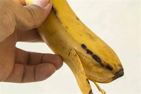 12 Utilisations Insolites Que Vous Pouvez Faire Avec Une Peau De Banane