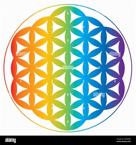 Flower Of Life Symbol In Rainbow Colors Cosmic Universe Energy Wheel