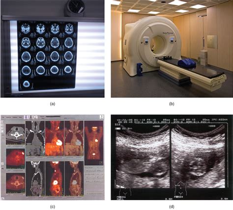 15 Medical Imaging Anatomy And Physiology