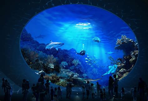 Now Thats A Shark Tank Seattle Approves 34 Million Toward New