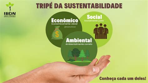 Tripé Da Sustentabilidade Ibdn Selo Verde E Certificações Ambientais