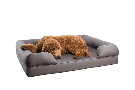 Top 10 Extra Large Dog Beds With Memory Foam