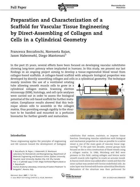 Pdf Preparation And Characterization Of A Scaffold For Vascular