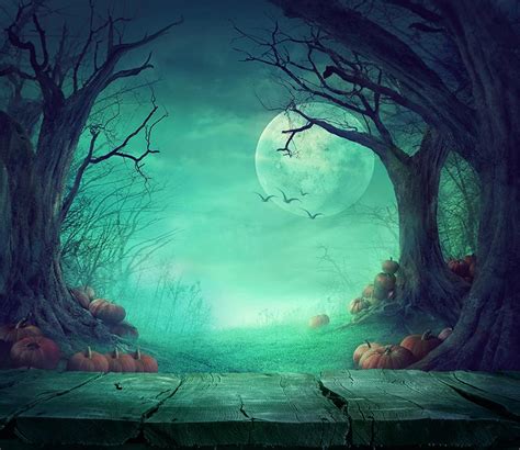 Halloween Backdrops Weird Moonlight Pumpkin Photography Background Dbd