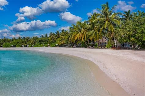 Conceito De Natureza De Praia Palm Beach Na Idílica Ilha Paradisíaca