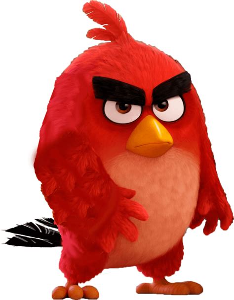 Angry Bird Red Wallpaper