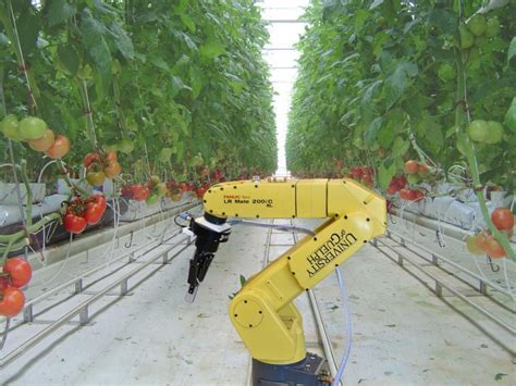 A Robot That Lends A Hand In Greenhouses Ontario Agri Food Innovation
